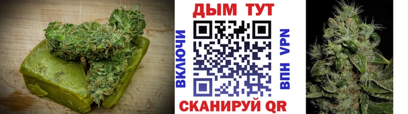 Купить закладки  Можга  Cannafood марихуана 