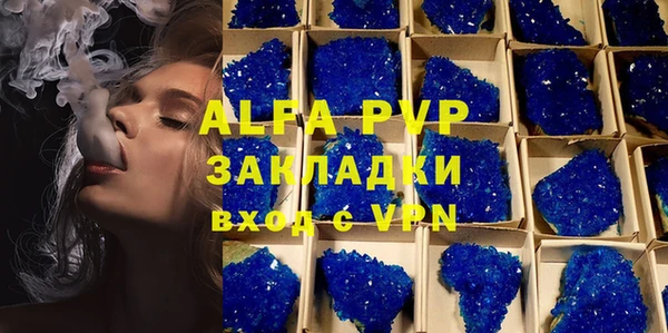стафф Заводоуковск