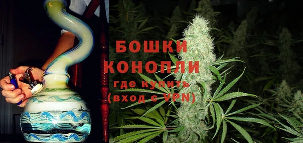 стафф Заводоуковск