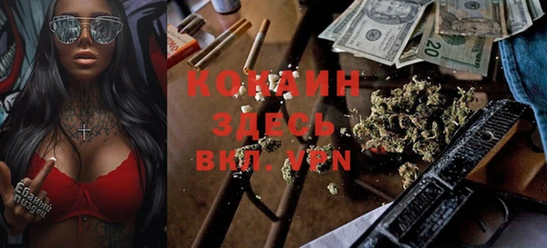 стафф Заводоуковск