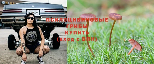 стафф Заводоуковск
