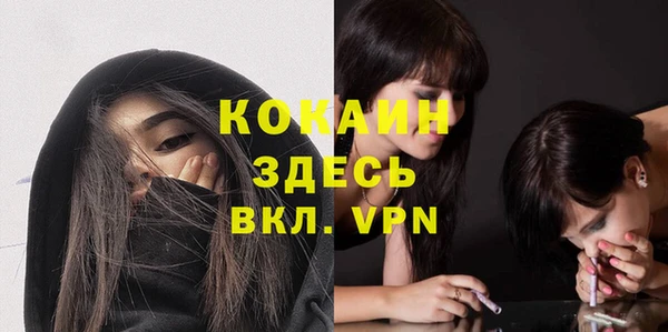 стафф Заводоуковск