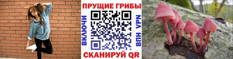 Галлюциногенные грибы мухоморы  Купить закладки  Можга 